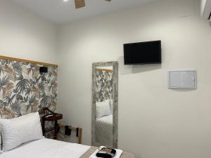 a bedroom with a bed and a mirror and a television at EME SEVILLA TURISTICA in Seville