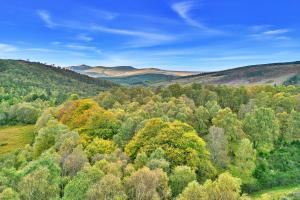 an aerial view of a forest of trees in the hills at Finest Retreats - Cosagach Falls Cabin in Kiltarlty