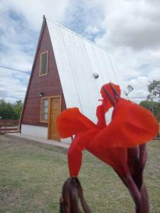 a red object in front of a barn at Amancay Cabaña alpina en Valle Fértil in San Agustín de Valle Fértil