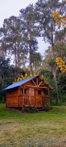 a log cabin with flowers on top of it at Pinar del Valle - Glamping en el Bosque - Propiedad Completa en Constanza in Constanza