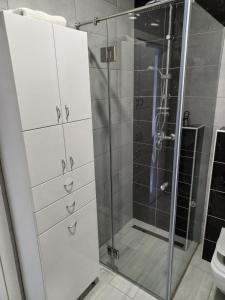 a bathroom with a shower and a glass door at Apartman Arija in Ruma