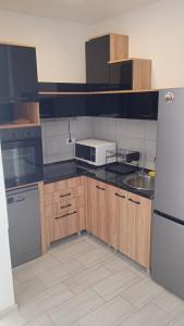 Kuhinja ili čajna kuhinja u objektu Apartman Arija