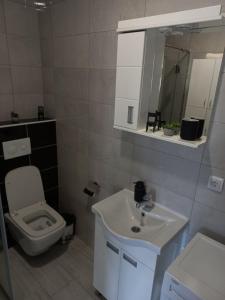 a bathroom with a toilet and a sink and a mirror at Apartman Arija in Ruma