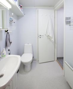 a bathroom with a toilet and a sink and a shower at Willa Mustijoki in Laukkoski +91 photos