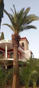 un palmier devant un bâtiment dans l'établissement Villa Muia-Appartamento con giardino, à Parabita