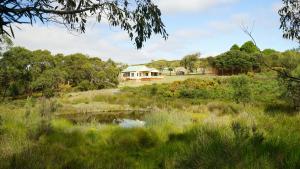 a house in the middle of a field with a pond at Southern Ocean Retreats - Deep Creek National Park in Delamere