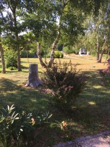 a tree stump in a park with a bush at chalet de la haute fontaine in Anould