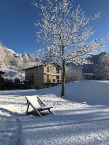 Maso Zambo Resort - Adults only -2 Rooms, Spa & Restaurant sopra il lago di Como في Cassina Valsassina: مقعد جالس بالثلج بجانب شجرة