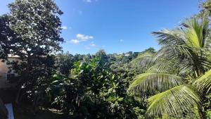 vistas a una selva con palmeras en Appartement d'une chambre avec piscine partagee balcon et wifi a Sainte Anne a 6 km de la plage, en Le Moule