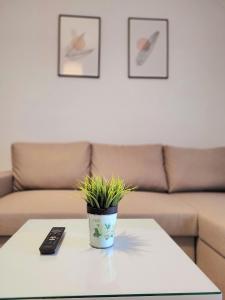a plant sitting on a coffee table with a remote control at Center River Apartment in Florina