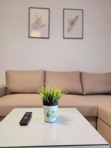 una planta sentada en una mesa de centro con mando a distancia en Center River Apartment, en Florina