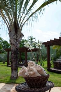 a basket of towels sitting on a table next to a palm tree at Spa Agua Milagrosa in Cuiabá