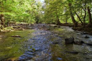 Příroda nedaleko prázdninového domu + 20 fotografií