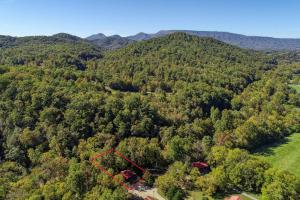 an aerial view of a forest with a house at Whispering Creek Cabin in Cosby