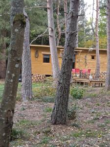 a log cabin in the woods with trees at Chalet papillon Domaine de la Mamounette in Boussoulet