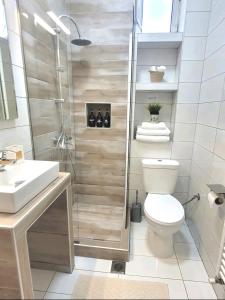 a bathroom with a shower and a toilet and a sink at Center River Apartment in Florina
