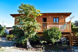 a log cabin with a deck and a tree at 2 bedrooms house with sea view enclosed garden and wifi at Icod de los Vinos 2 km away from the beach in Icod de los Vinos