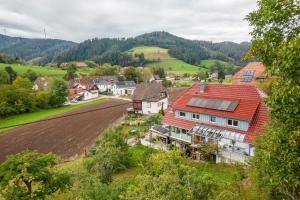 eine Luftansicht eines Dorfes mit einem Bauernhof in der Unterkunft Lehmann mit Blick aufs Schloss in Gutach