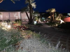 a garden at night with palm trees and a building at Cala Rosa Club Hotel in Stintino