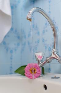 zlew z wodą płynącą z kranu i różowego kwiatu w obiekcie Georgias House w mieście Skiros
