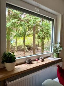 a window with a view of a tree at Haus mit Sauna am Waldrand - Nähe Brombachsee Altmühlsee in Windsbach