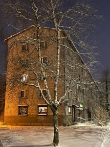 un árbol frente a un gran edificio de ladrillo en New Stylish Apartment City Center en Narva