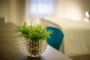 a vase with a plant in it sitting on a table at Hotel Mais1 in Campina Grande
