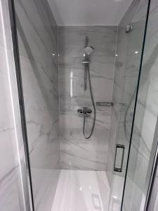 une douche avec une porte vitrée dans une salle de bain dans l'établissement Studio apartman Mia, à Zagreb 6 autres photos