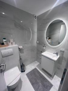 une salle de bain avec toilettes, lavabo et miroir dans l'établissement Studio apartman Mia, à Zagreb