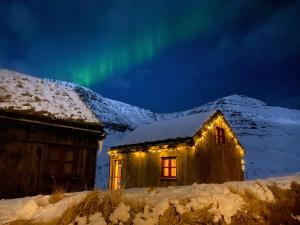 een noorderlicht verlicht de lucht boven een hut bij Múlafossur Cottages by famous waterfall in Gásadalur in Gásadalur