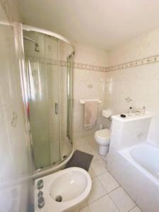 ein Bad mit einem WC, einer Dusche und einem Waschbecken in der Unterkunft La casa del Mike in Borgo a Mozzano