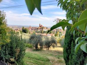 a view of a city from an olive grove at Il colle dei Frati in Sinalunga