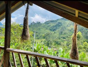 a view from a room with a view of a mountain at Cabaña y temazcal Mastai in Jardin