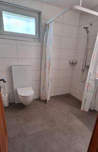 a bathroom with a toilet and a window and a shower at Ruheort in Beinwil