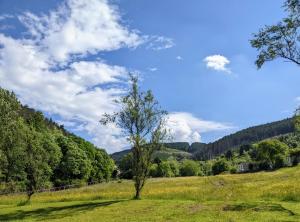 ein Baum mitten auf einem Feld in der Unterkunft Cape Cottage in Glyncorrwg