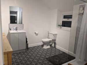 ein Badezimmer mit Toilette und Waschbecken in der Unterkunft Cape Cottage in Glyncorrwg + 26 Fotos