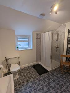 ein Badezimmer mit Dusche und Toilette und einem Fenster in der Unterkunft Cape Cottage in Glyncorrwg