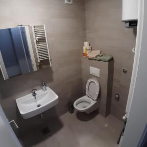 ein Badezimmer mit einem Waschbecken, einem WC und einem Spiegel in der Unterkunft Apartman City BL in Banja Luka