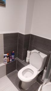 uma casa de banho com um WC branco num quarto em Spacious Studio Maidstone - Redecorated Oct 2023 em Maidstone