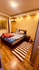 een slaapkamer met een bed en een tapijt op de vloer bij Luxury Stay at Mokktam Heights in Caïro