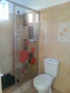 バイレ・ウヌ・マイにあるPensiunea Cristianのバスルーム(トイレ、ガラス張りのシャワー付)