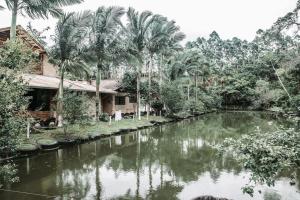 a river with palm trees in front of a house at Fazenda Momm - Pousada e Eventos in Camboriú