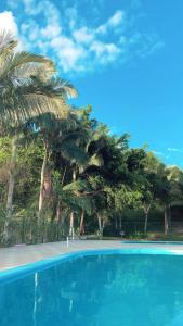 a blue swimming pool with palm trees in the background at Fazenda Momm - Pousada e Eventos in Camboriú