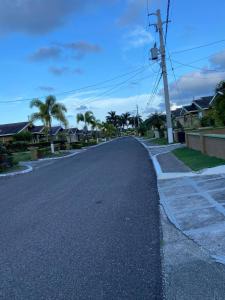 an empty street with houses and palm trees at MBS Travel Holistic Guest House in Mammee Bay