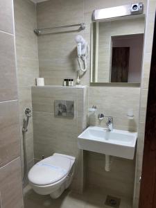 a bathroom with a sink and a toilet and a mirror at Prenoćište SRBIJA in Surdulica