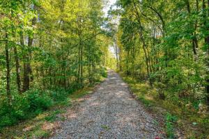 un camino de tierra en medio de un bosque en Seven Pines Cabin - Secluded in Hocking Hills, en Nelsonville