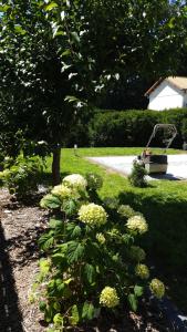 Zahrada ubytování Le Gîte du Fort