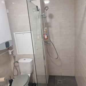 a bathroom with a shower with a toilet and a glass door at Lyon Montchat Villeurbanne Studio refait à neuf climatisé et parking privé in Villeurbanne
