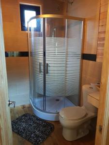 La salle de bains est pourvue de toilettes et d'une douche en verre. dans l'établissement Cabaña en sueño Mazamitla, à Mazamitla