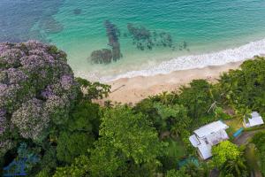 an aerial view of a beach and the ocean at Rinconcito Magico beachfront location in Punta Uva